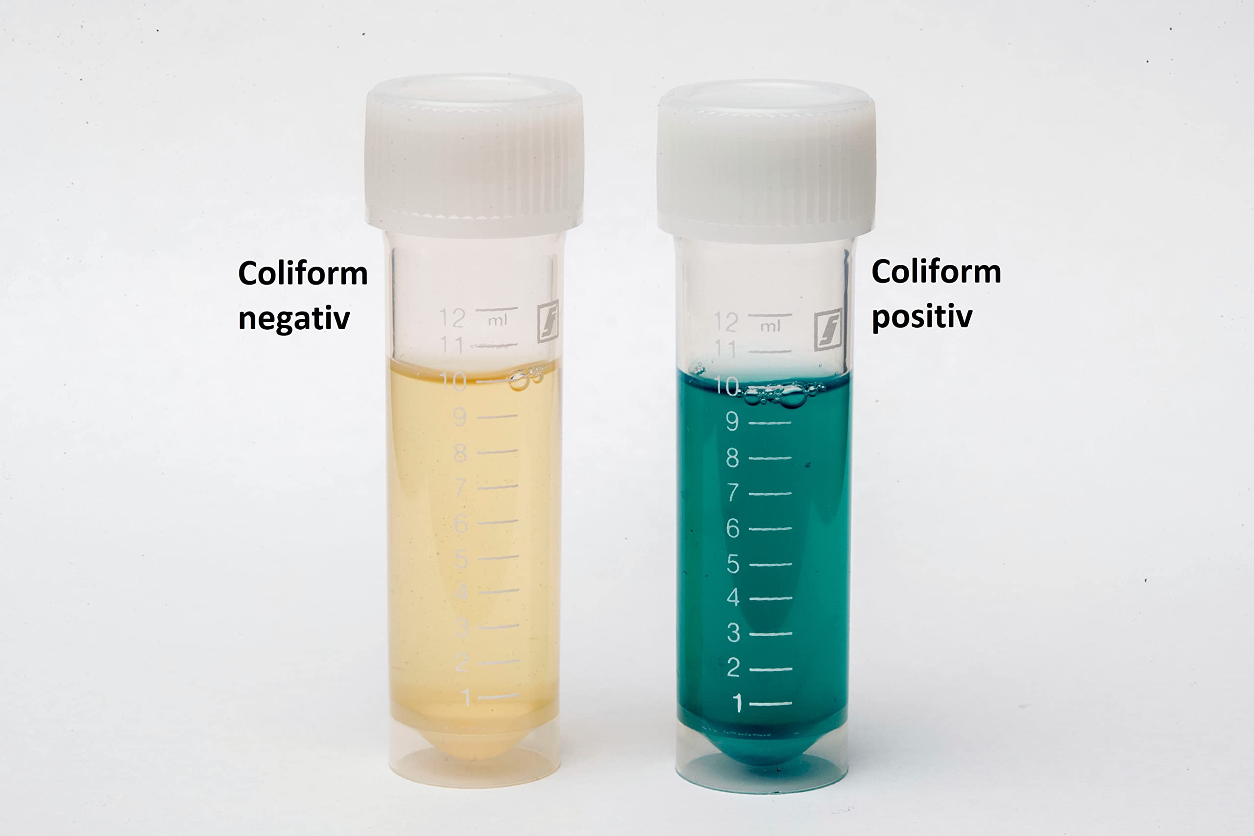 Test dell'acqua per batteri Coliforme E.coli Test in acqua potabile e pozzo Check (2 set di test)