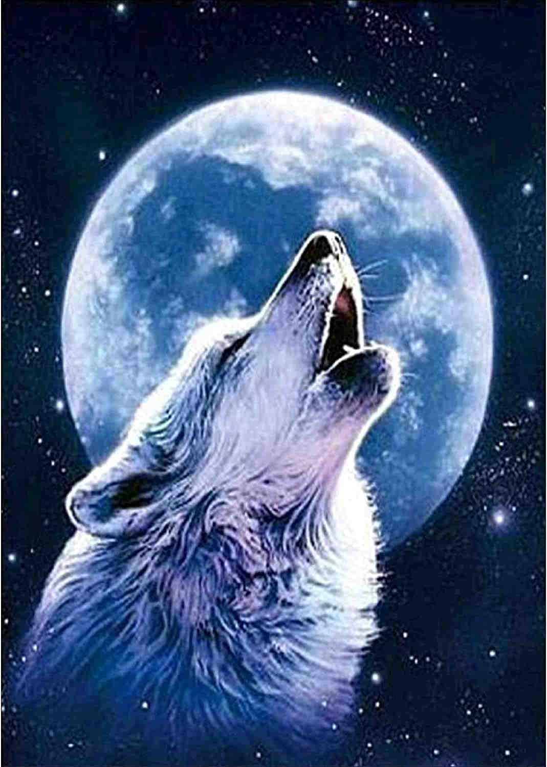 【幅61.5㎝】【希少】大型 ステンドグラス 狼と月 遠吠え 壁掛け パネル Amazon.co.jp: 絵画 満月の狼の遠吠えインテリア 絵画 動植物の自然