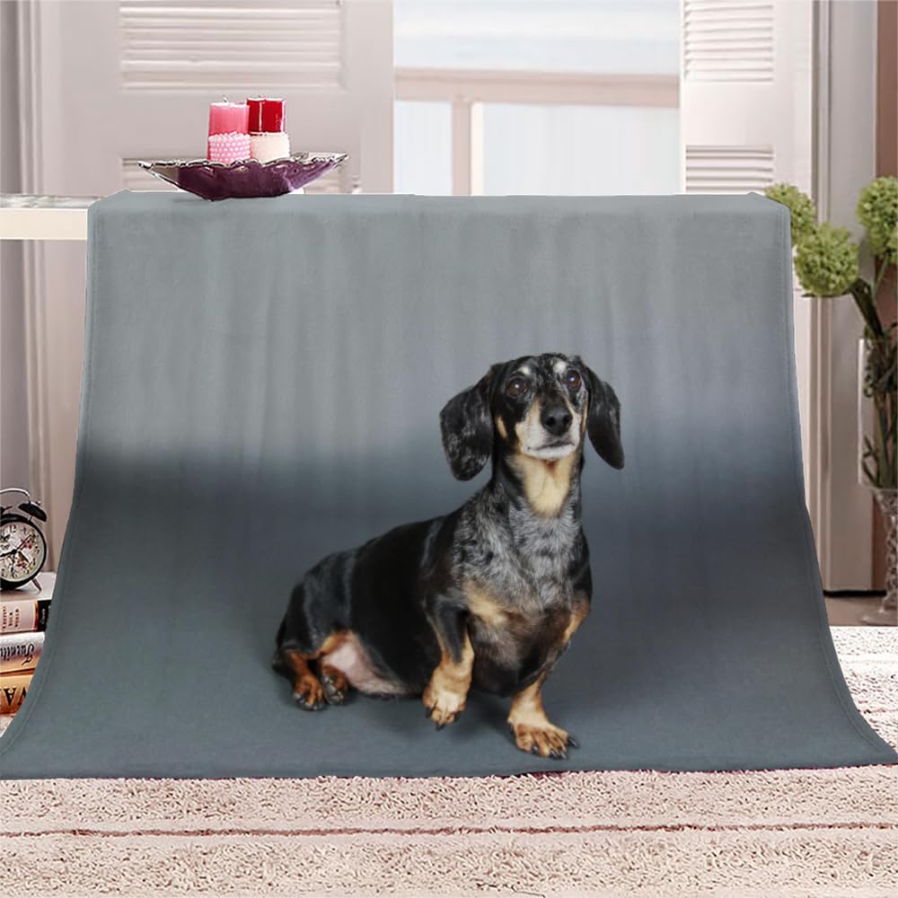 Dachshund Throw Blanket Dog Pet 3D Print Flannel Fleece Blanket Soft Warm Cozy Blanket for Bed Couch and Sofa Fluffy Plush Blanket for Adults Kids Girls Boys 28"x40"
