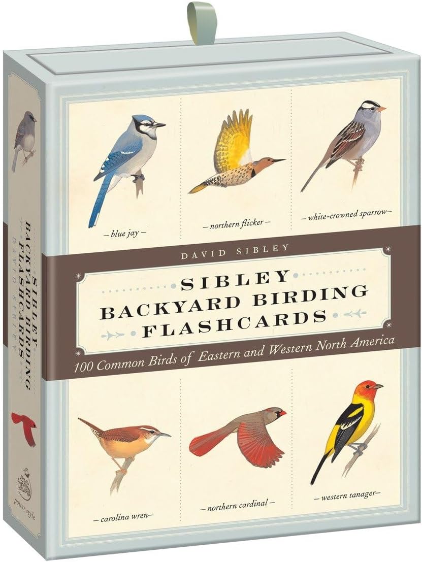 Sibley Backyard Birding Flashcards: 100 Common Birds of Eastern and Western North America (Sibley Birds)