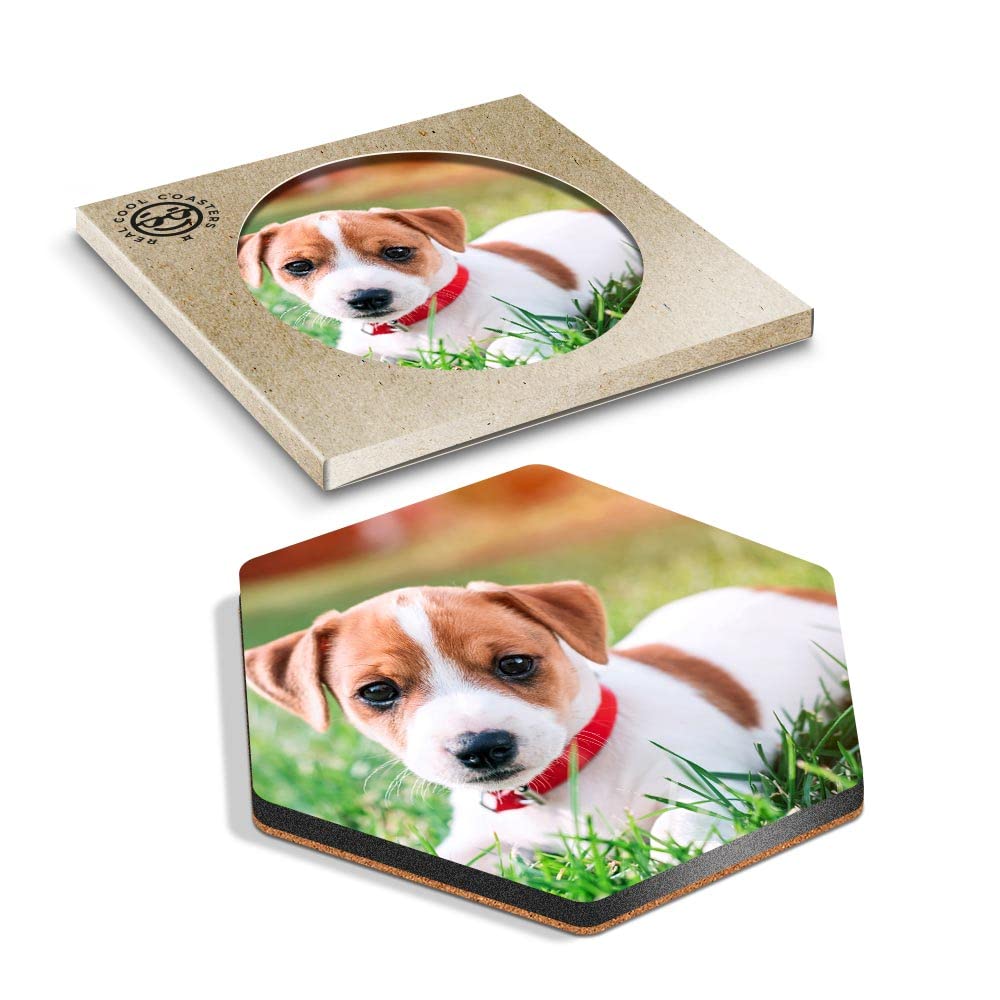DV DESIGN 1 x Eco Boxed Cork Hexagon Coaster - Jack Russell Terrier Puppy Dog Drink Cup Mug Glass Table Protection Mat #15879