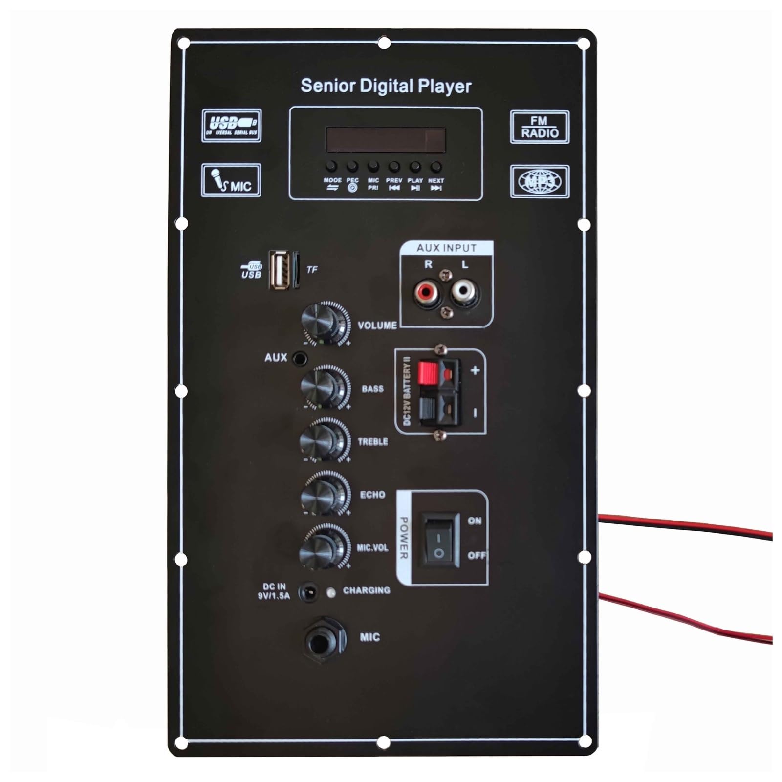 9V Cyfrowy Bluetooth Stereo Wzmacniacz Płytowy Podwójne Mikrofony Wzmacniacze 80 W Kompaktowy i inteligentny