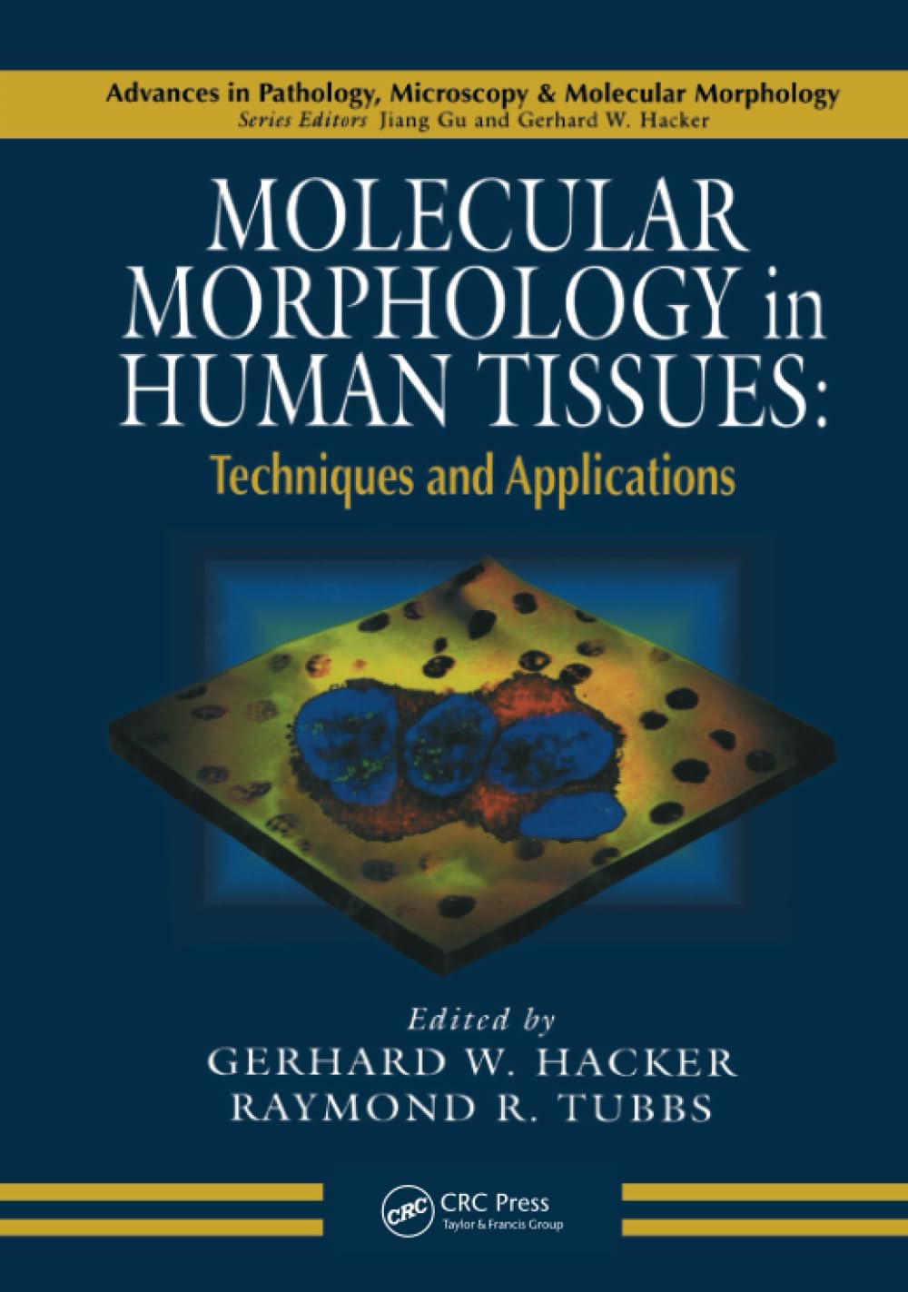 Molecular Morphology in Human Tissues (Advances in Pathology, Microscopy, & Molecular Morphology)