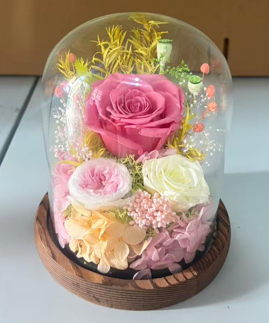 Elover Preserved Roses in Glass Dome with LED Light Long Lasting Real Flowers,Forever Eternal Rose for Mother's Day,Valentine's Day,Birthday Gifts for Women (Pink Rose)