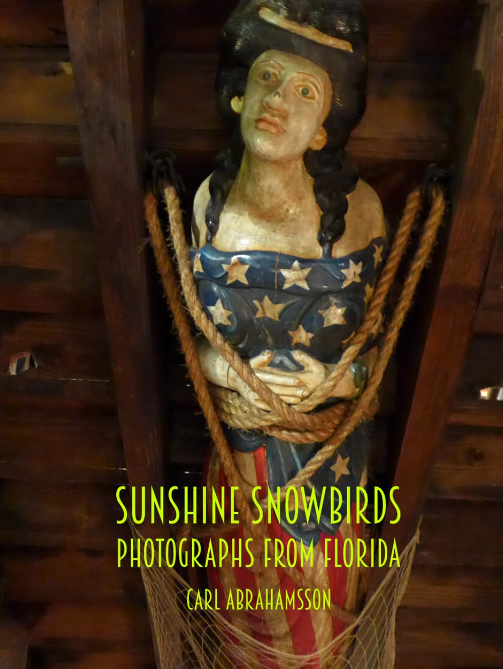Sunshine Snowbirds Photographs from Florida Beau Livre Idée Cadeau Passion Photo