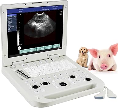 SUNBESTA-N20 طبيب بيطري محمول كمبيوتر محمول الطب البيطري B-الموجات فوق الصوتية آلة فحص الحمل السريري مع محدب & الخطي مصفوفة التحقيق الماسح الضوئي نظام التشخيص للكلاب، القطط، خنزير، الخنازير، الأغنام، الحيوانات الأليفة