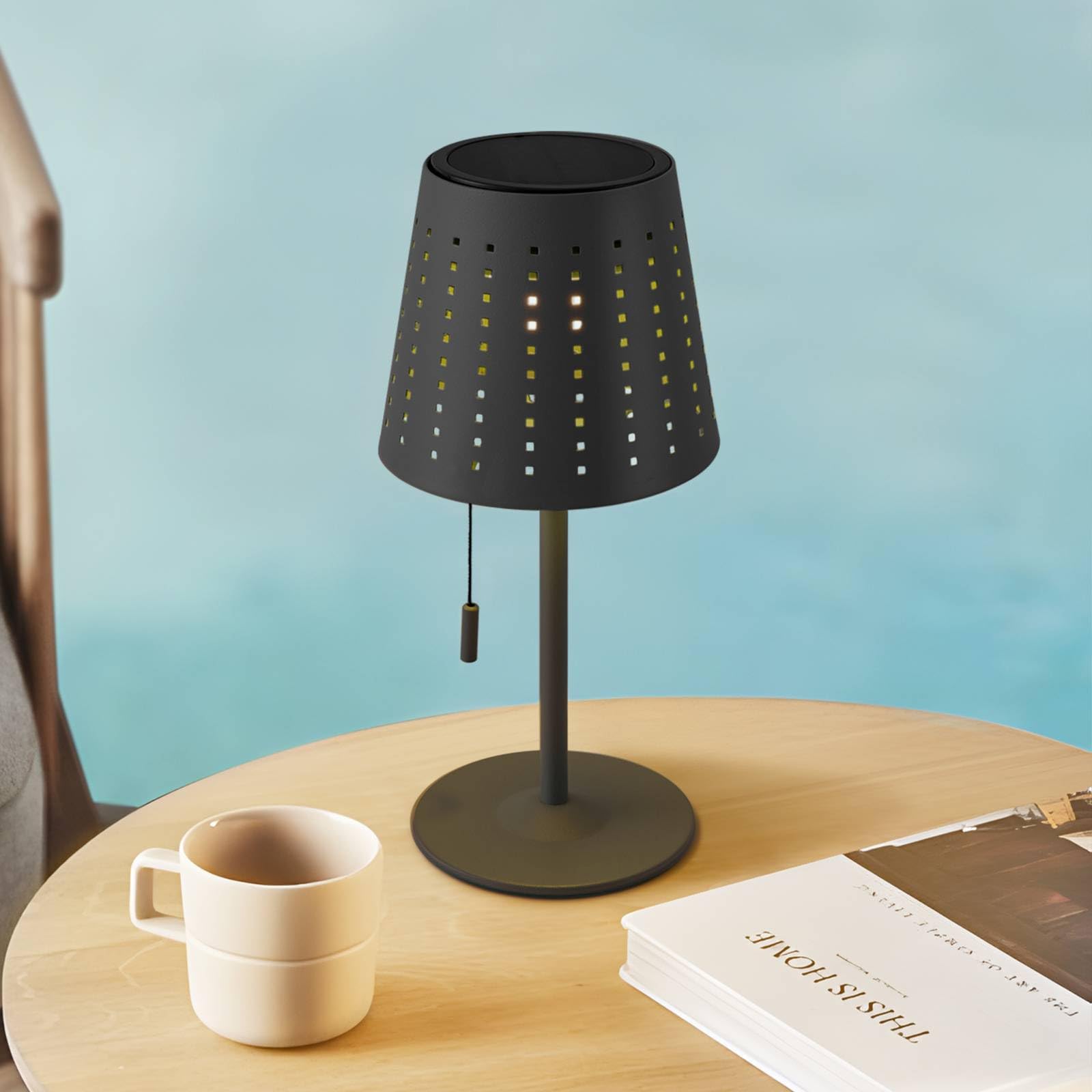 Lindby LED Solarleuchten Hilario dimmbar (spritzwassergeschützt in Schwarz aus Metall (1 flammig,) - Solarlampe Solarleuchte Garten