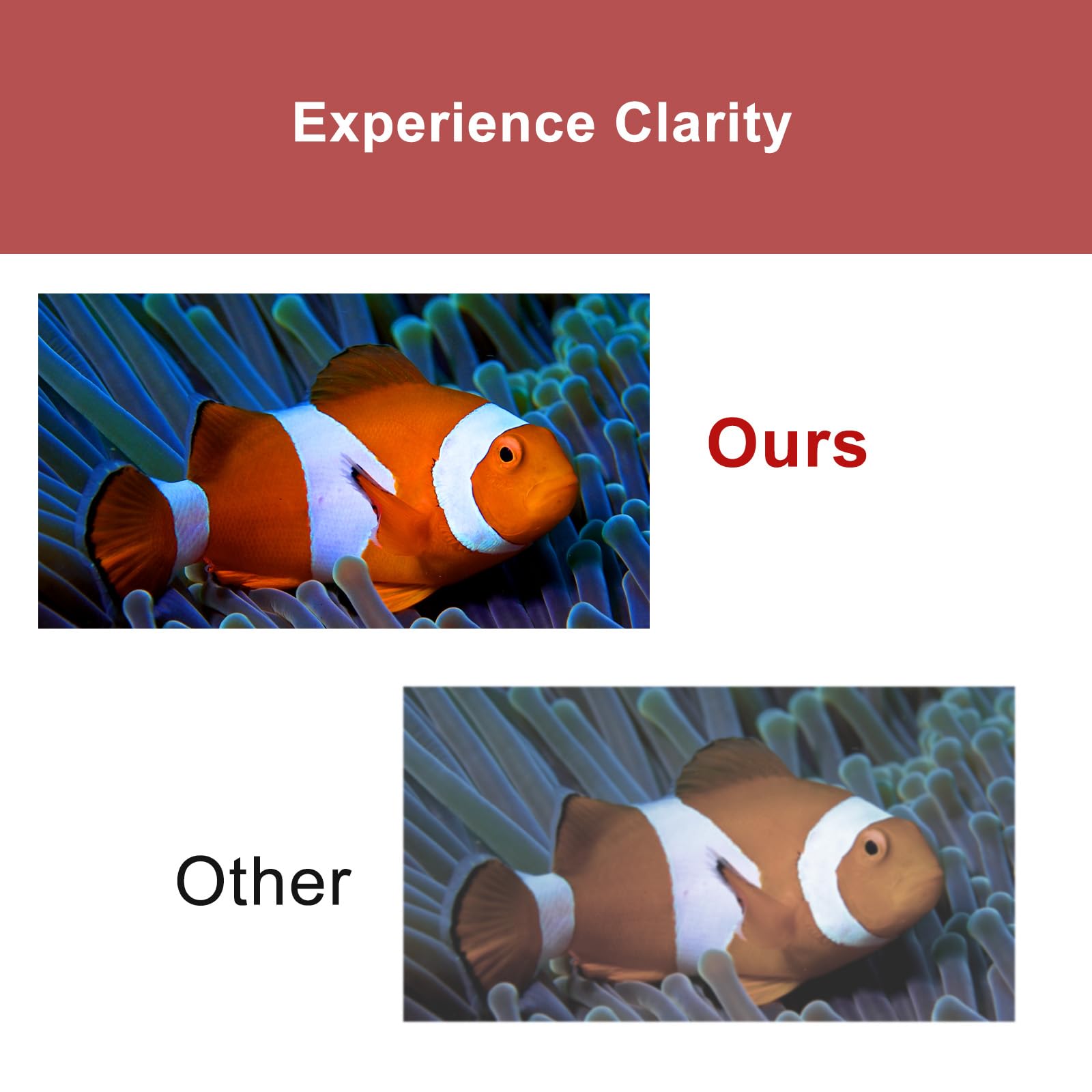 Amazon.co.jp: BUEGOO C931 C941 ブラック シアン マゼンタ イエロー