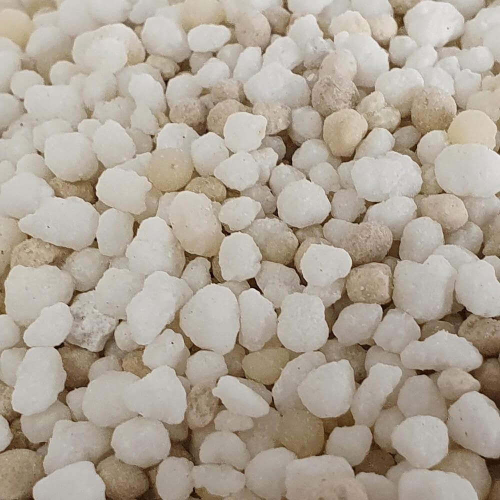 Fertilizzante per Prato Premium 25 kg Effetto a lungo Termine Concime Prato 3 Mesi Universale