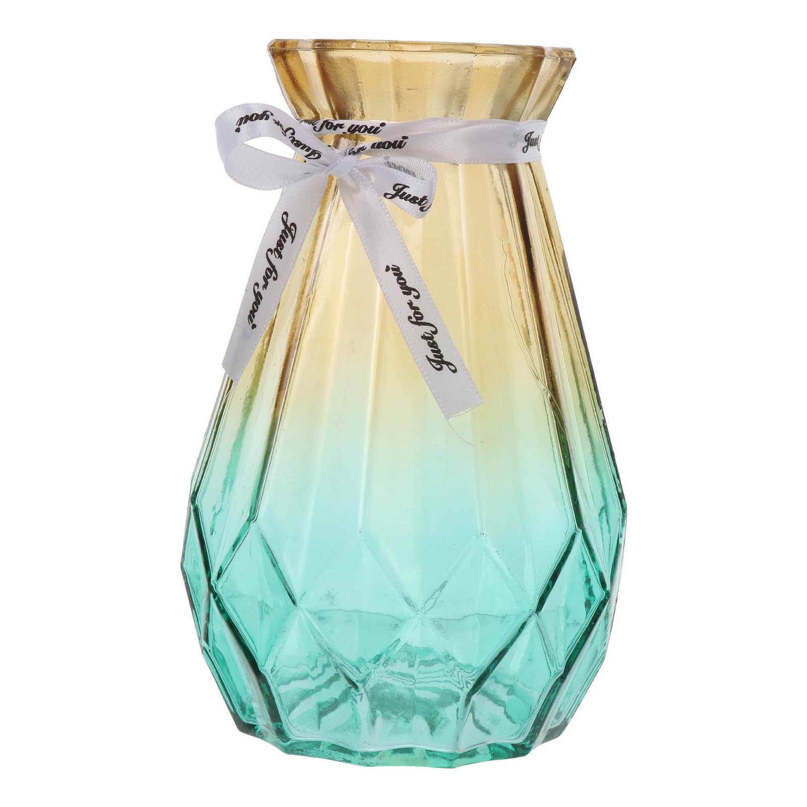 Vase en verre dégradé HEMOTON contenant hydroponique au design moderne