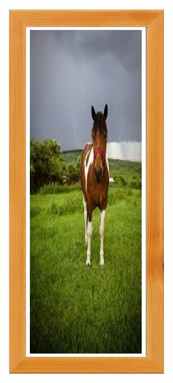 Beech Panoramic Photo Frame Modern Picture Poster Frames Real Wood Bespoke Sizes Acrylic Glass 400mm x 200mm