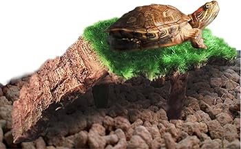 Amazon | OMCMART 【赤ちゃん亀の安息地】赤ちゃん亀の陸地 [赤ちゃん
