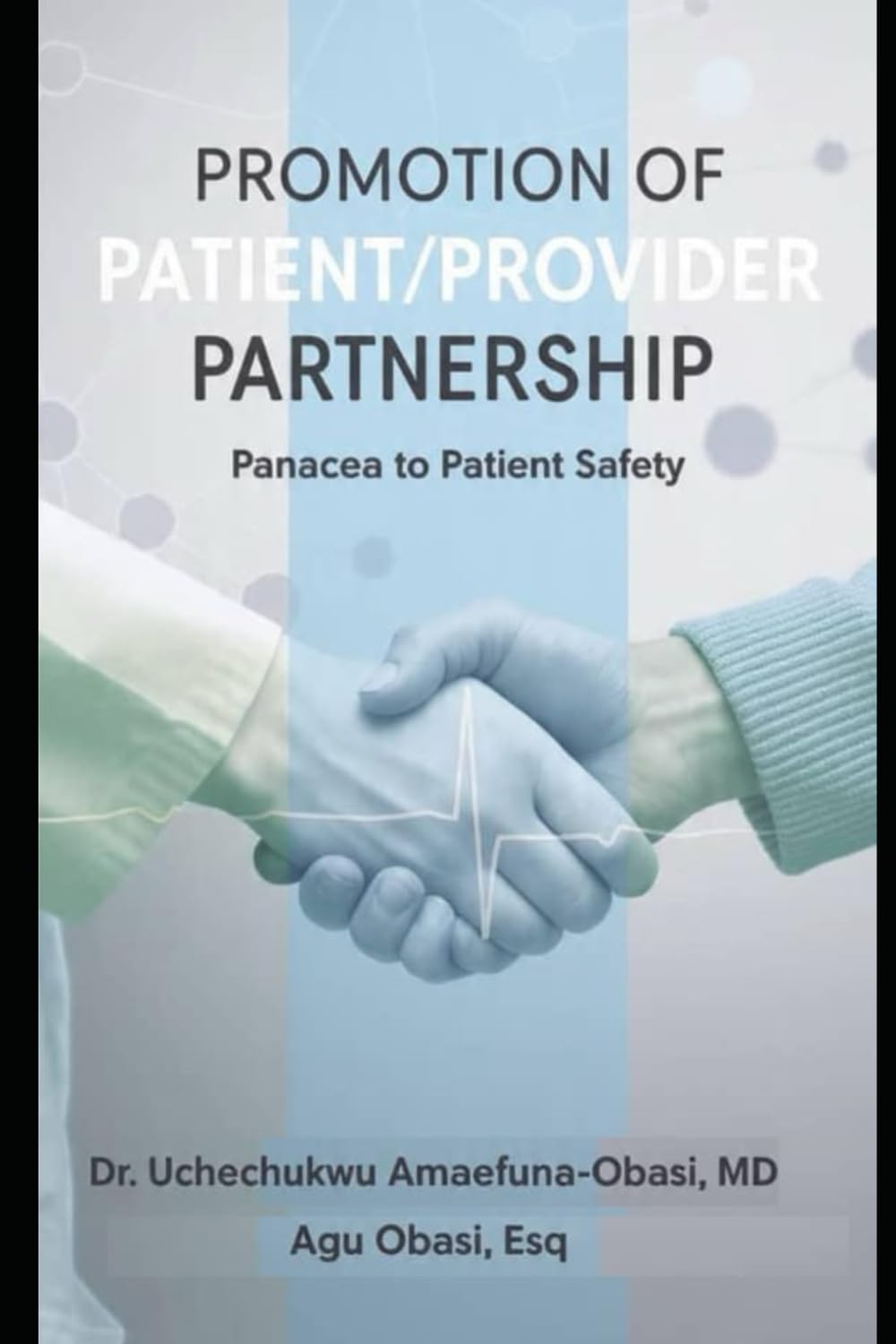 Promotion of Patient/Provider Partnership: Panacea to Patient Safety: The Evidence-Based Framework to Reduce Harm, Improve Outcomes, and Build a Resilient Healthcare System