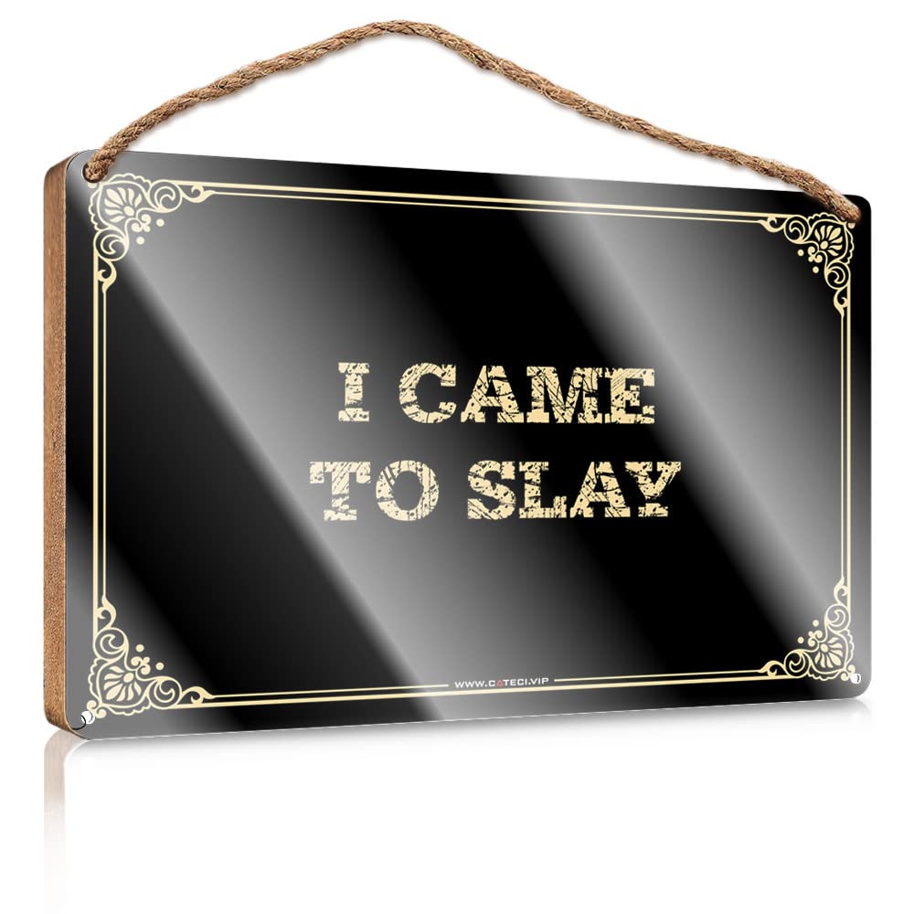 MAHQPZXSF Front Door Signs For Home Decor Funny I Came To Slay Wooden Sign Wall Hanging Decor Men Outdoor Signs And Decor(15X28CM)