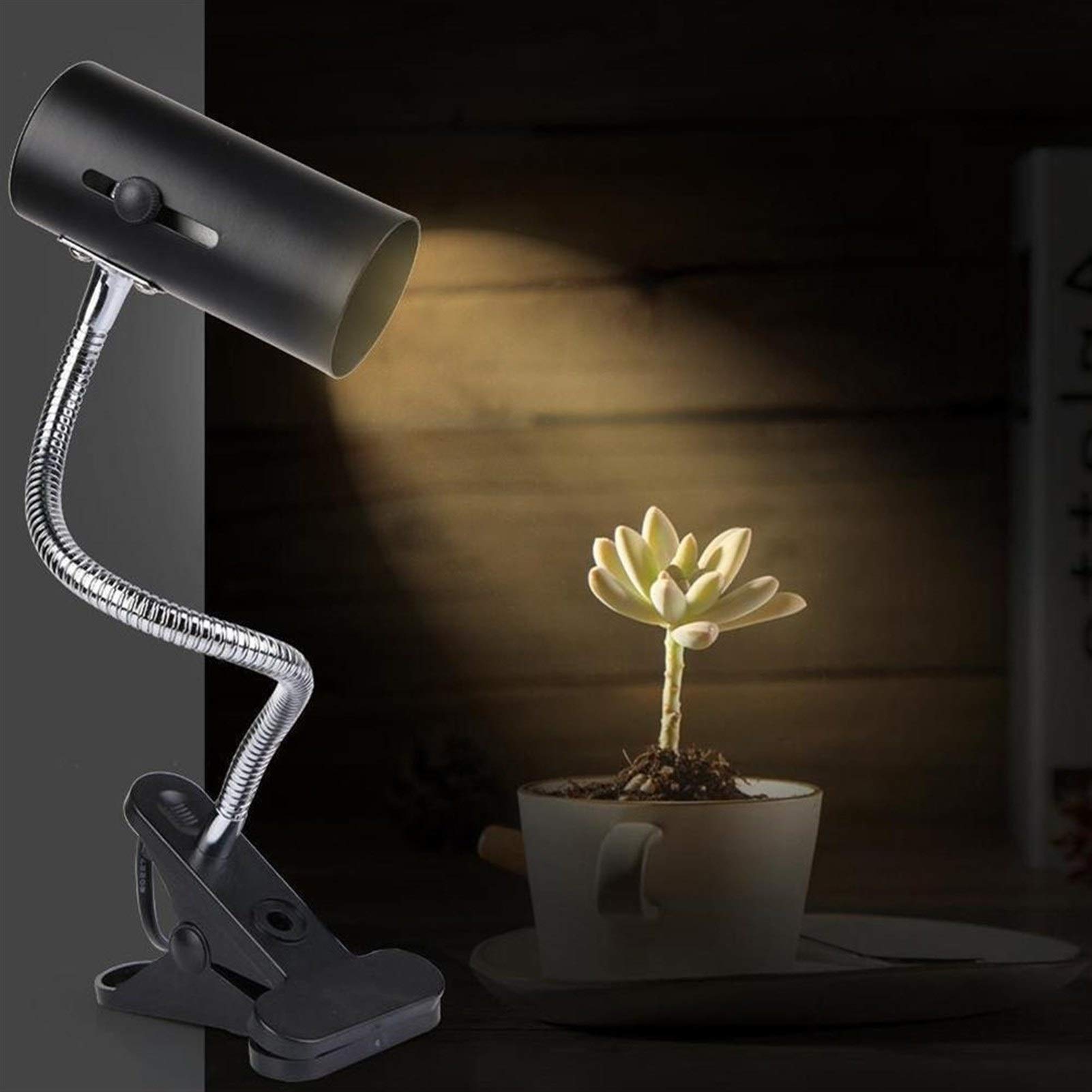 Riscaldatore per animali domestici UVA + UVB Kit 3.0 Reptile Lampada con Clip-on in ceramica titolare della tartaruga della luce UV Basking riscaldamento della lampada Set tartarughe Lizard Lighting