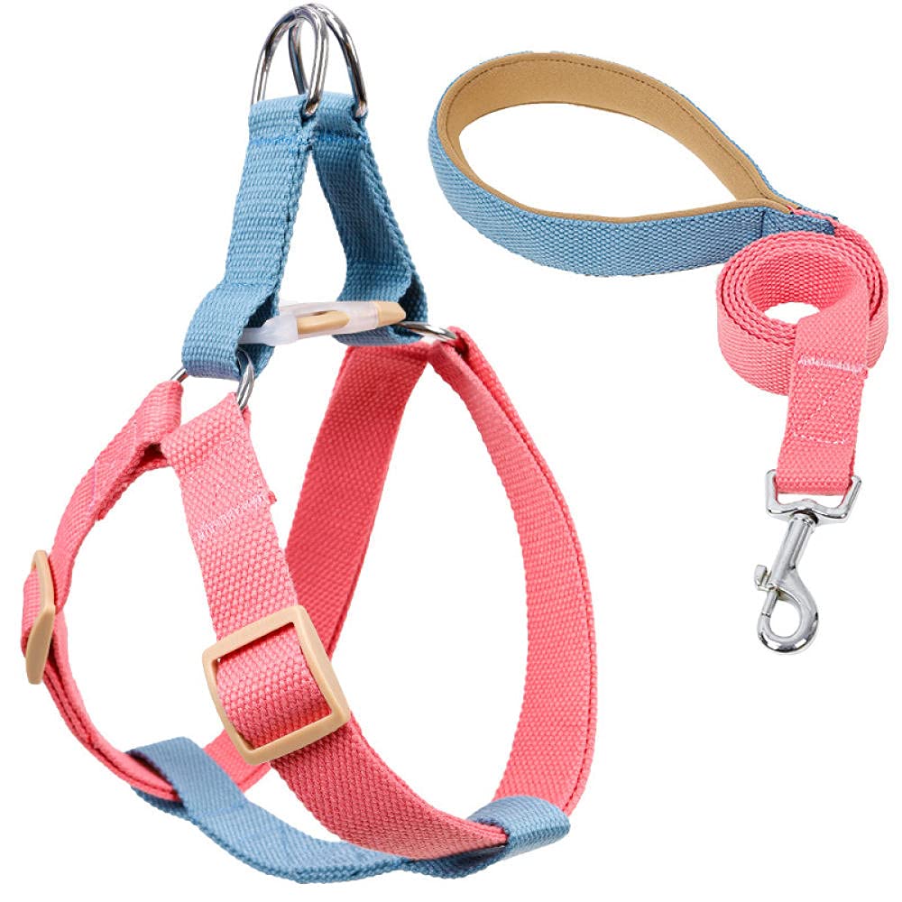 pettorina per cani, Con guinzaglio e pettorina for cani, guinzagli in nylon anti-tiro for di piccola taglia, set, collare GL(A,S)