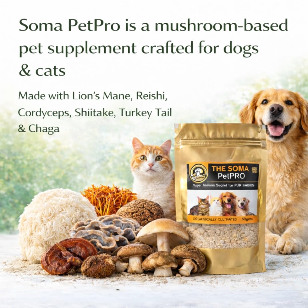 Somashrooms India's First 6-Powerful Shrooms Wellness for Our Fur Babies | Vitality | Canine Nutritionist Approved | Choice of Pet Parents 1