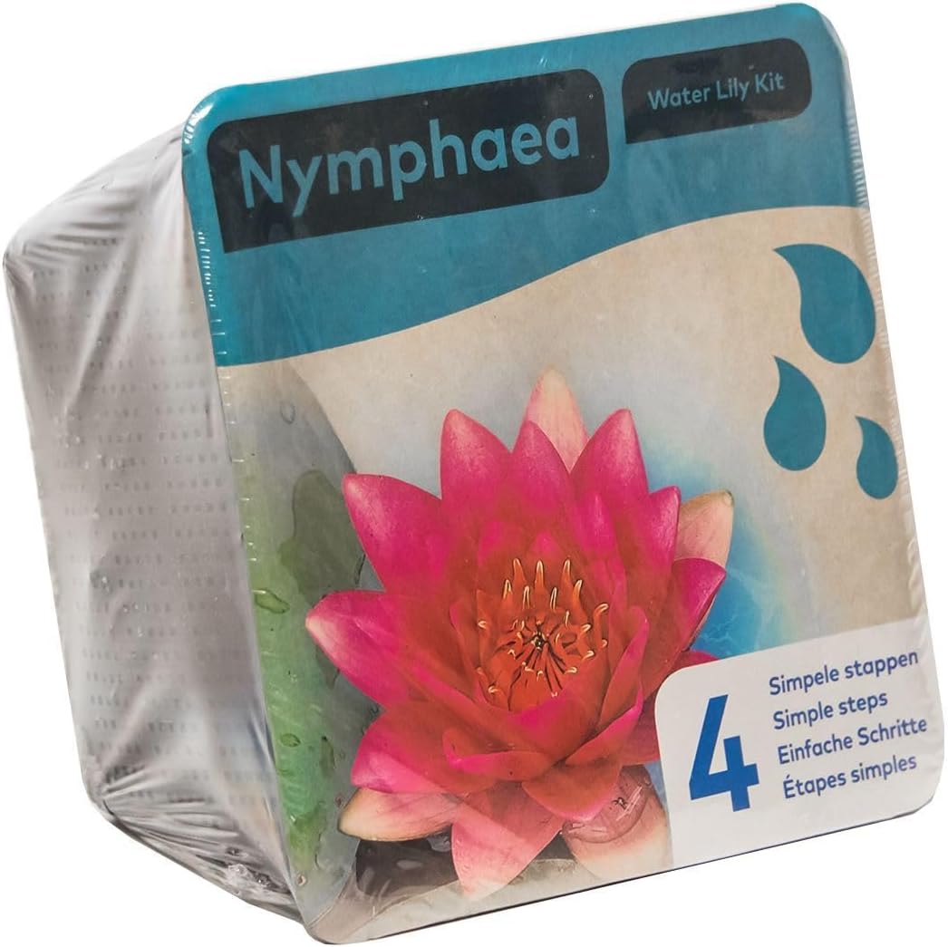 Red Water Lily Pond Plant Kit - Complete Kit for Easy Pond Setup