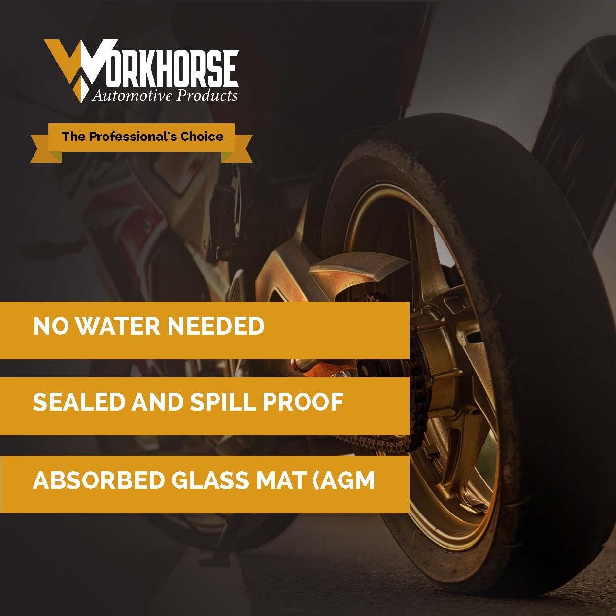 Workhorse YTX12-BS YUASA High Performance Powersport Battery, Sealed AGM, 12 volt, 10Ah for Motorcycle, ATV, UTV, Seadoo, Polaris, Boat, Scooter, Jet Ski, RZR, Harley Davidson.