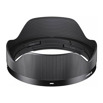 Amazon.com : 20mm F2.0 DG DN C for L Mount Black : Electronics