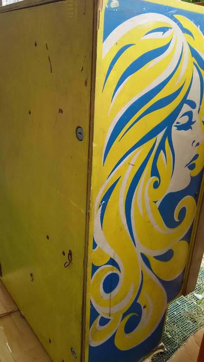 Amazon.co.jp: Bally bingo Pinball Machine Head1975 Bally_MISS