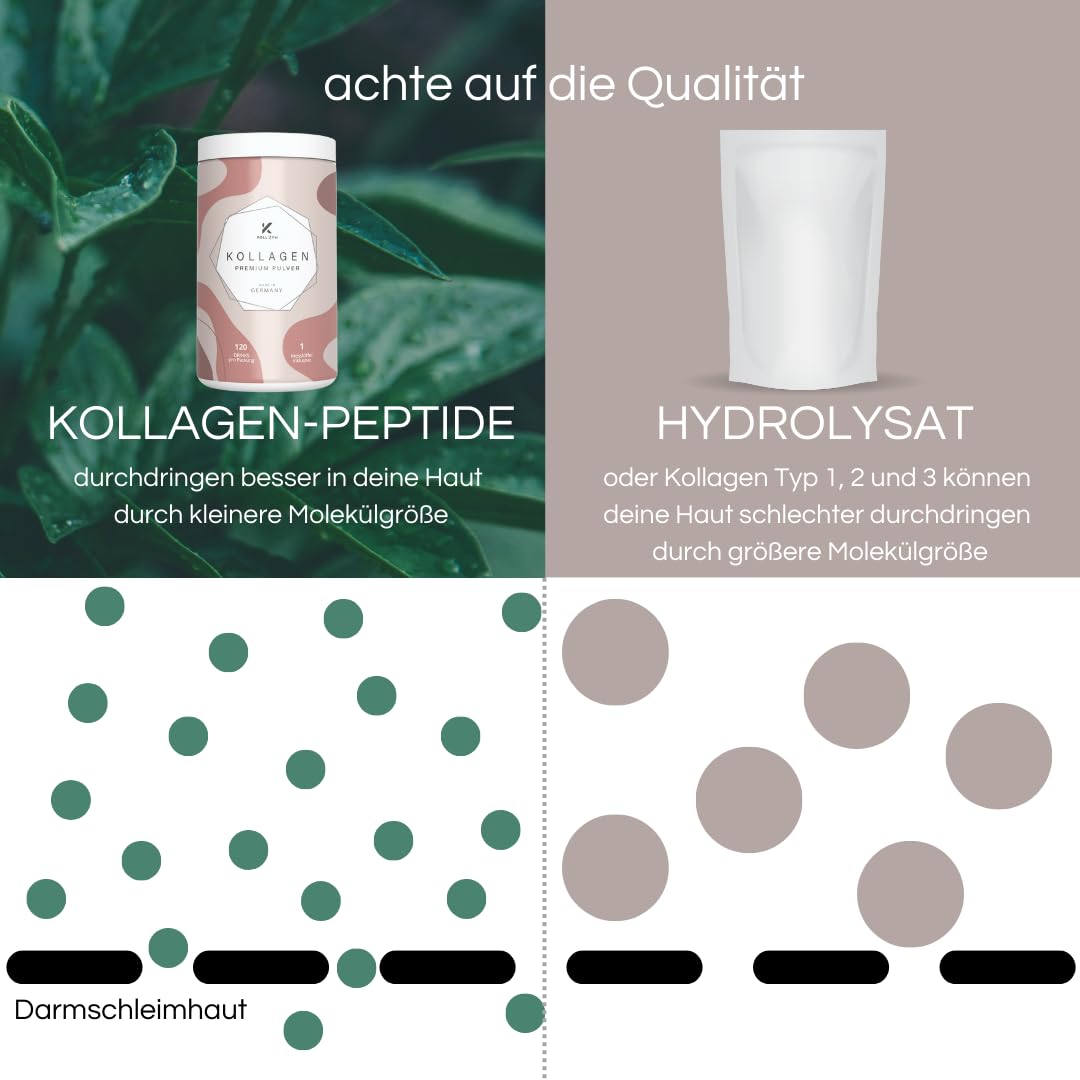 Koll`ZYM© 100% collagene polvere ad alto dosaggio [600 g] • L'originale • peptidi collagene • collagene bioattivo • non idrolizzato • insapore • Made in Germany