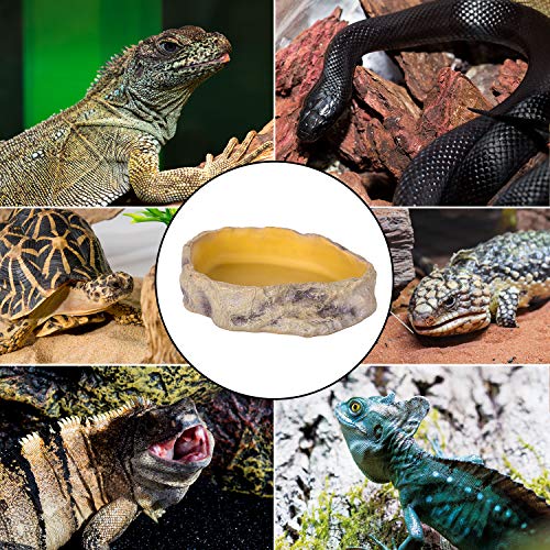 Reptizoo Reptile Water Bowl Terrarium Water Dish Food Feeding Bowl For Reptile Amphibian Pets Large(11"X 8"X 2.4") #TOP5