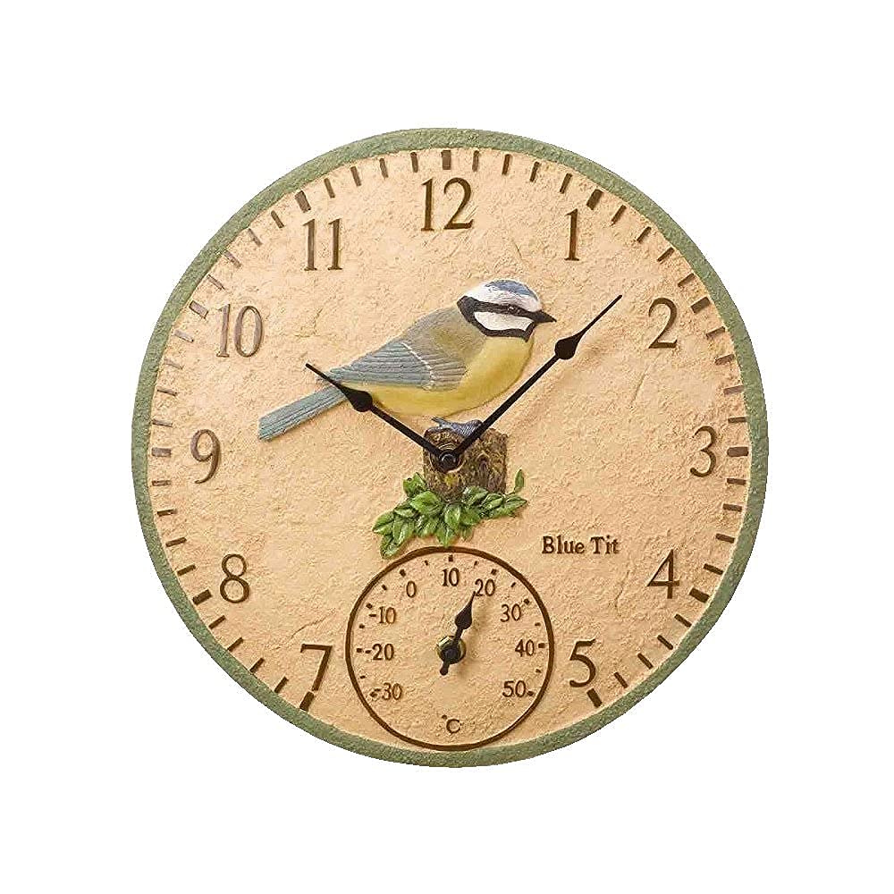 Horloge murale extérieure et thermomètre Robin 12 pouces pour cour et balcon