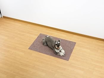 Amazon | リッチェル やさしいペットマット サークル用L 90×60cm