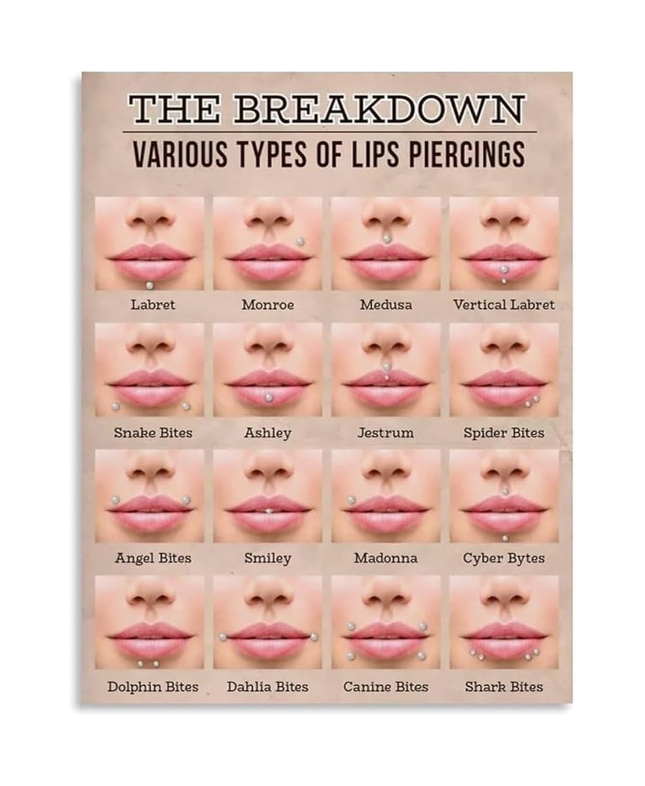FNYUVNFAF Body Piercing Education Poster Different Lip Piercing Styles Placement Guide For Tattoo Parlor Salon Wall-Art