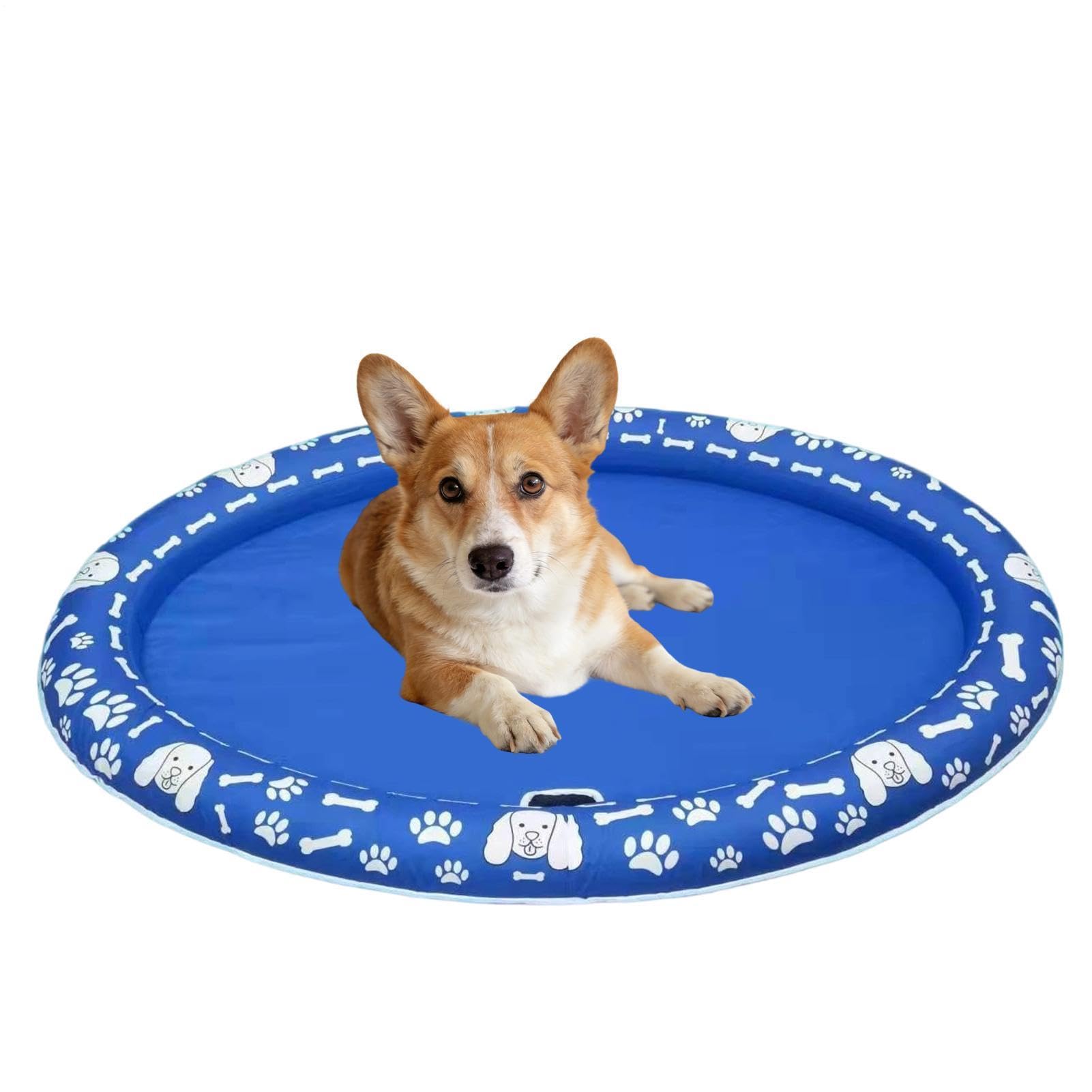 Bouée de piscine pour chien Jouet gonflable résistant aux déchirures