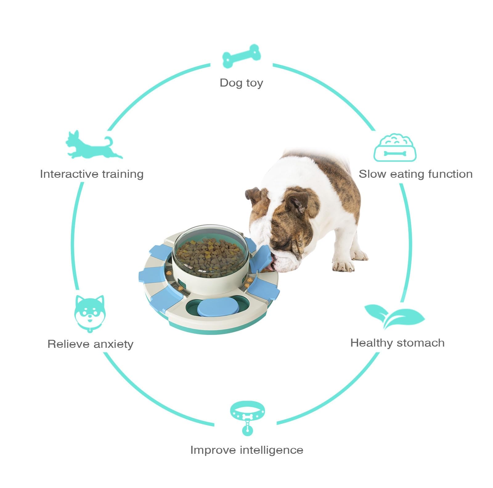 PawsPuzzle Interactive Dog Toys, Puzzle Toys for Dogs Training Funny Feeding, Treat Dispenser Large Dogs, Small and Medium Improve Your Dog's Intelligence - Image 2