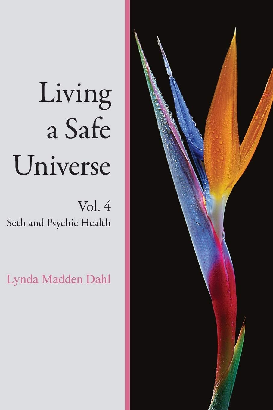 Living a Safe Universe, Vol. 4: Seth and Psychic Health: Volume 4