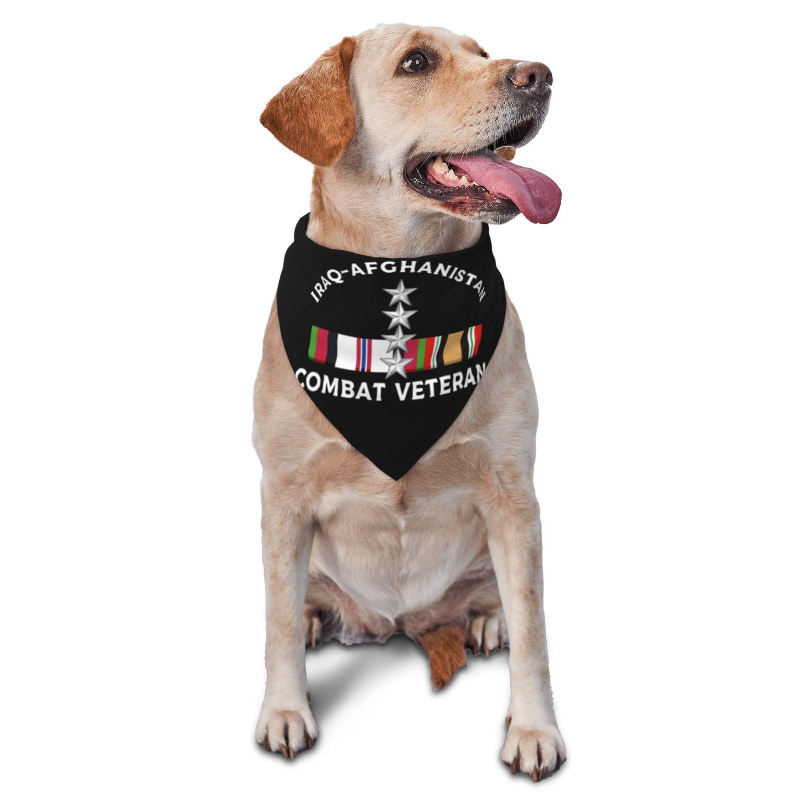 US Army O-10 General O10 GEN General Officer Ranks Iraq-Afghanistan Combat Veteran Dog Scarf Pet Bandana Cat Pet Bibs