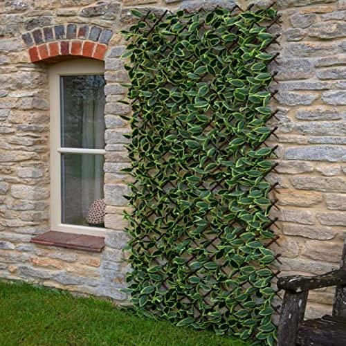 Garden Mile Hosta Leaf Expanding Trellis Screening Panel Fence Privacy Screen for Garden Artificial Trellis Living Wall Panel Topiary Expandable Trellis Privacy Fence Screening 180 x 90cm