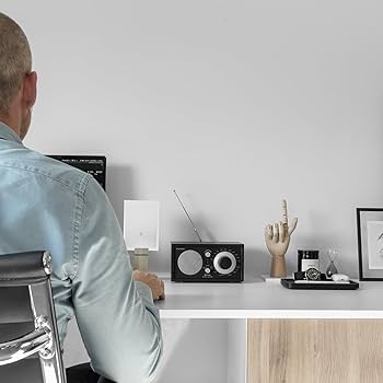 Amazon.com: Tivoli Audio Model One Bluetooth AM/FM Radio