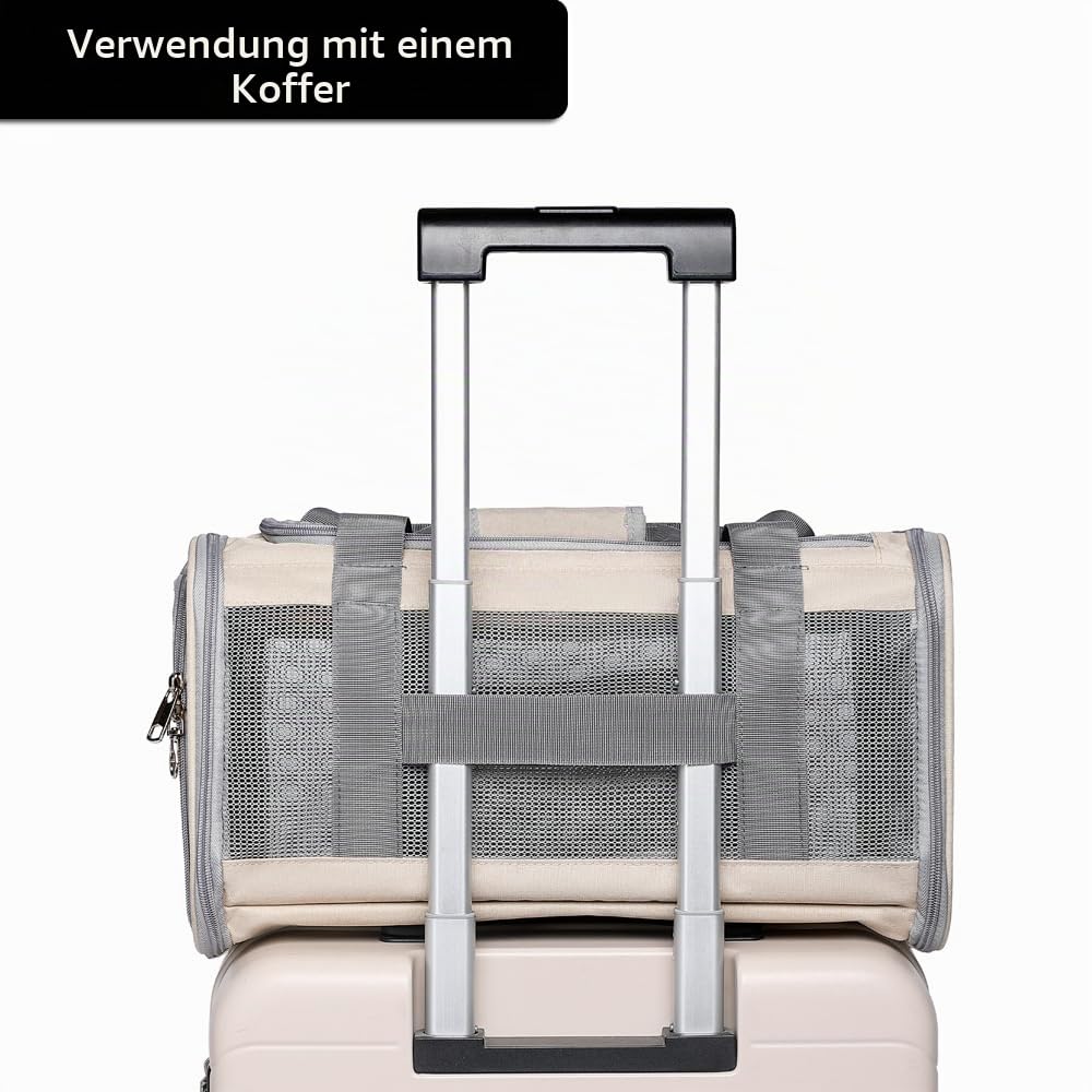 Von Fluggesellschaften zugelassene Haustiertragetasche für Katzen und kleine Hunde, atmungsaktives und faltbares Design, tragbare Reisetasche für Bartagamen, Welpen, Tierhängetasche