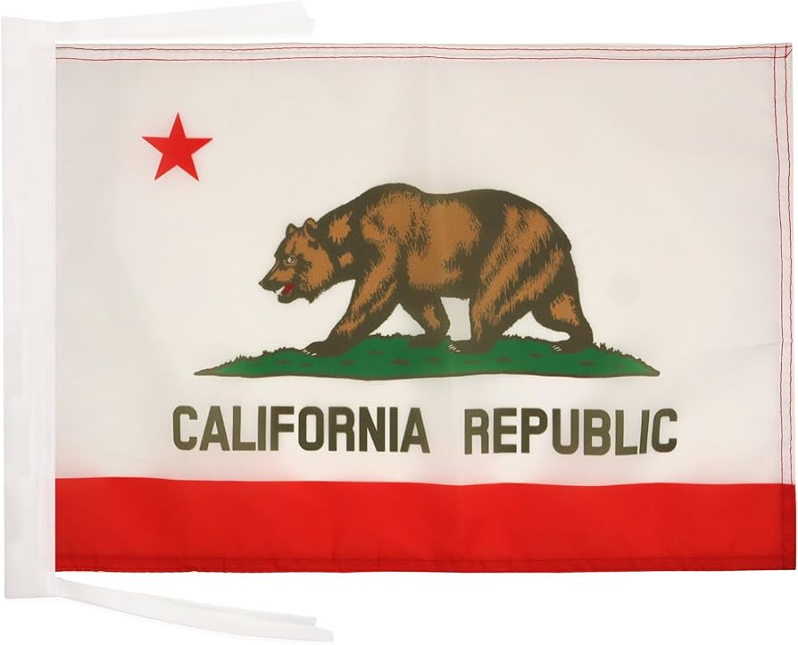 LUSEOAN Confezione Da 20 Mini Bandiere Della California – 14 X 20,8 Cm – Ideali Per Feste A Tema E Decorazioni