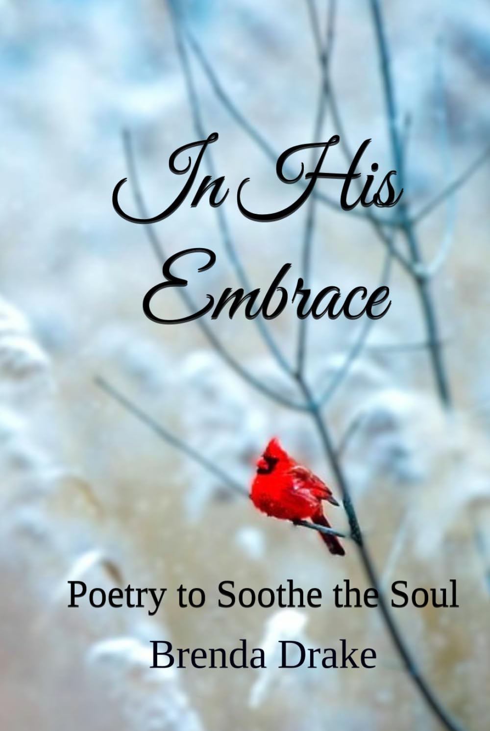 In His Embrace: Poetry to Soothe the Soul