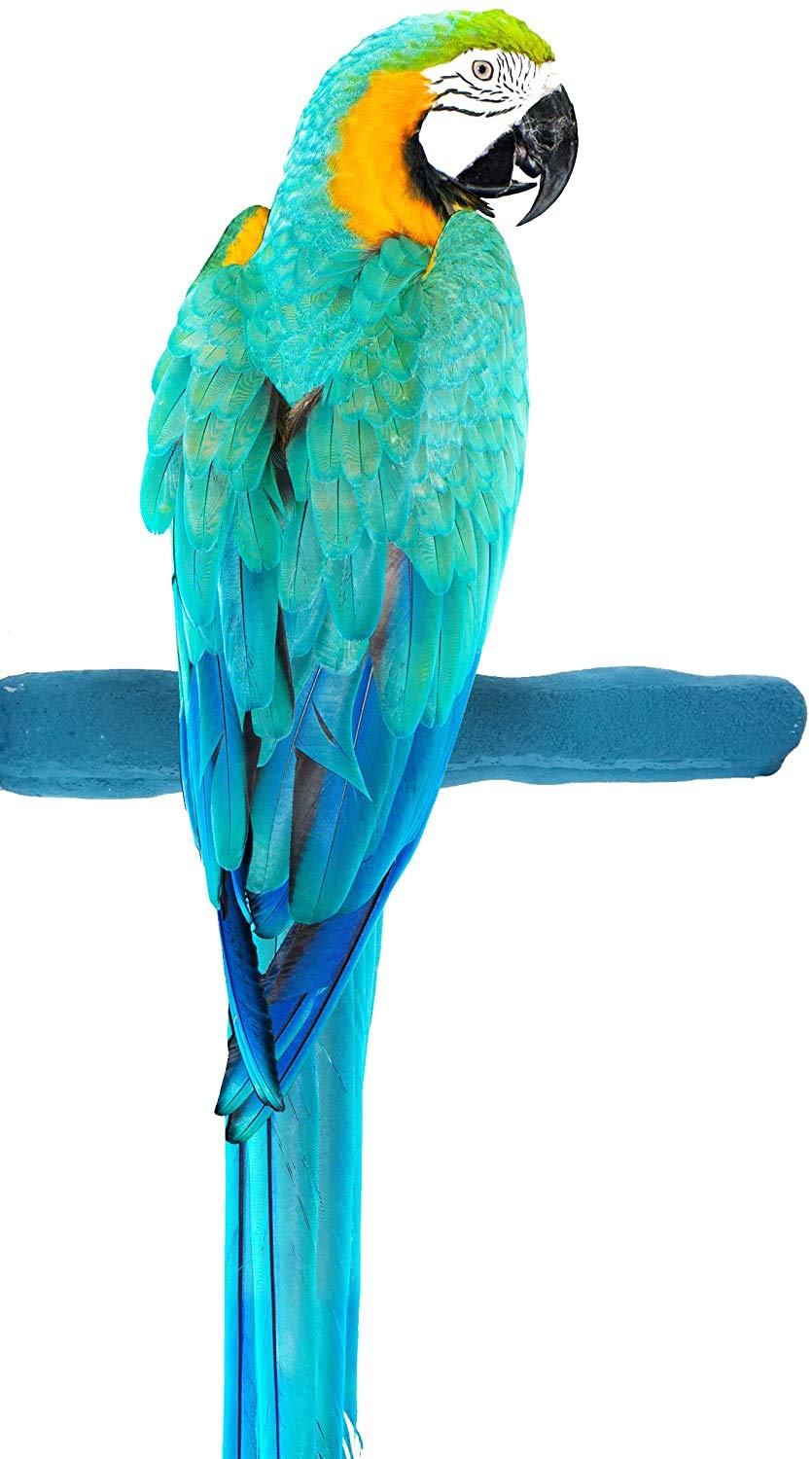 Sweet Feet and Beak Comfort Grip Safety Bird Pumice Perch - Patented Bird Perch Keeps Nails and Beak in Top Condition - Imitates Birds' Life in the Wild - Non-Toxic - Hangs Easily - Large - Blue