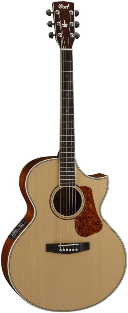 CORT NDX20-NAT NDX Cutaway Electro-Acoustic Guitar : Amazon