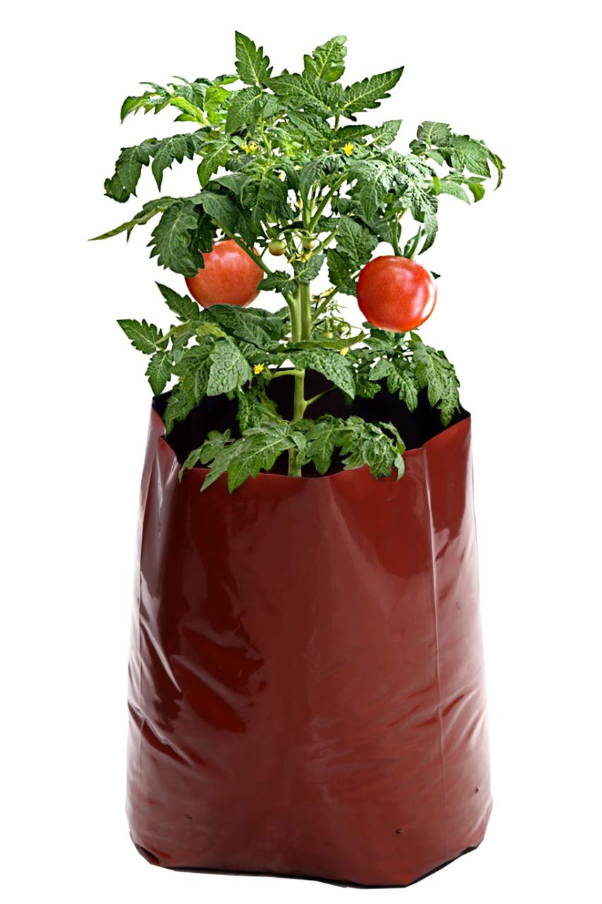 Rochfern Grow Bag,Extra Large,100% Virgin Polyethylene, (60 x 34 x 20Cms.) UV Treated (6)