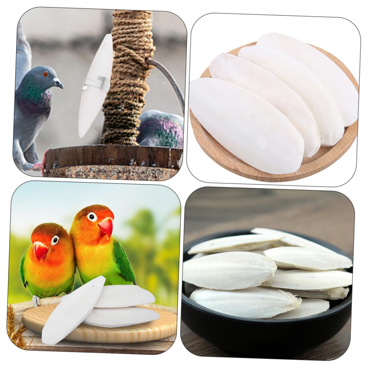 YARNOW 36 Ensembles Jeu de rongement d'os de seiche câlin Jouet à mâcher pour Oiseau Squid Hamster Animal de Compagnie Cage à Oiseaux Jouet pour Animaux de Compagnie Jouet en os de seiche