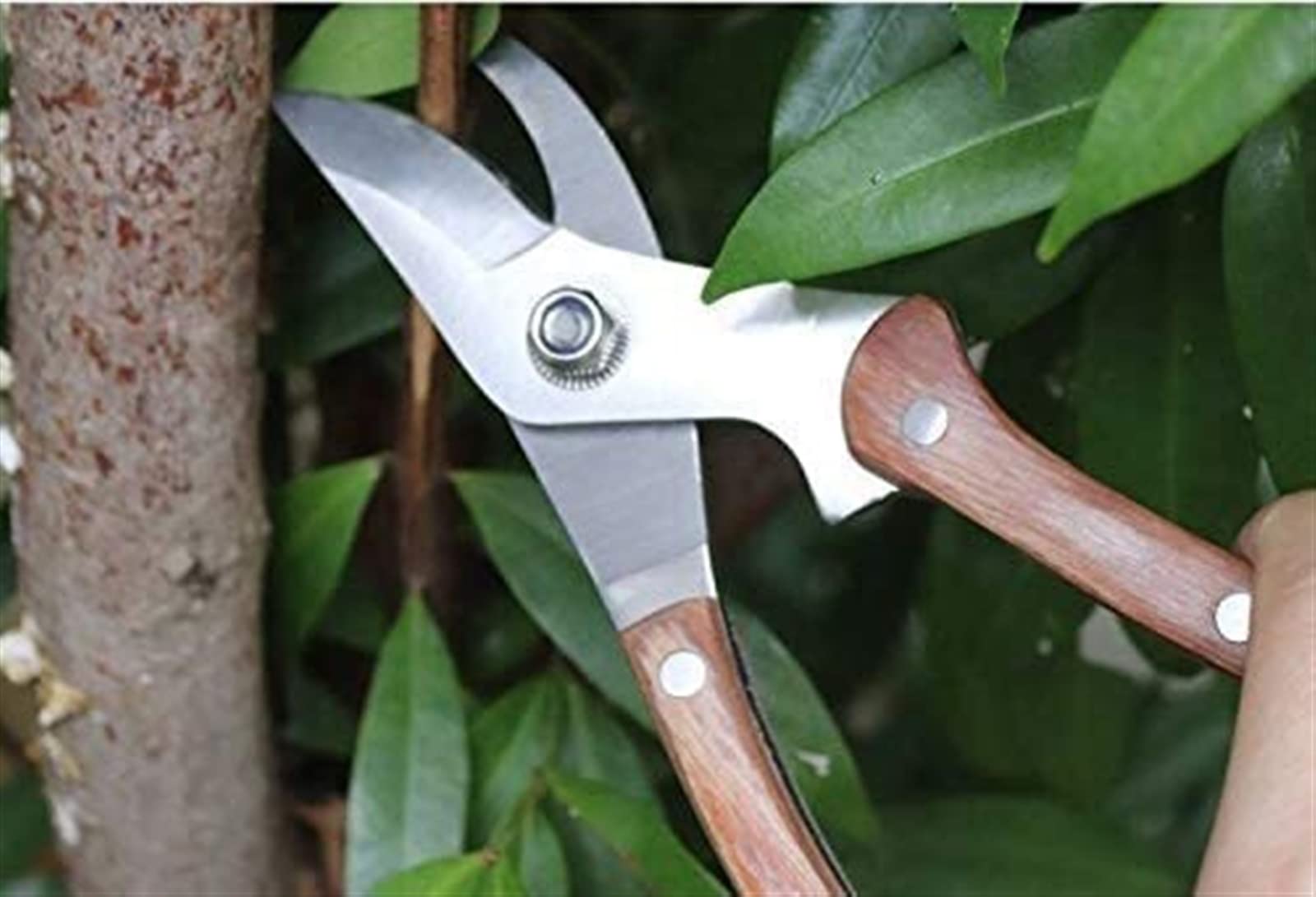 Cesoie da potatura per giardinaggio Manico per tronchi Cesoie da potatura Cesoie per alberi Cesoie Potatore manuale Lame in acciaio inossidabile Tosatrici professionali da giardino Cesoie bypass