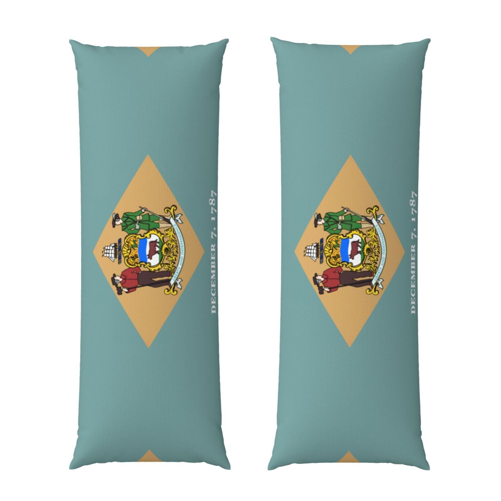 Housse de coussin douce 50x137 cm drapeau Delaware pour un salon cosy