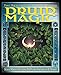 Druid Magic: The Practice of Celtic Wisdom