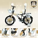 EVERREADY Star Kids Bicycle 16t - Newly Launched with Double gaddi seat in Tubeless Tyres, Dual-Colored Steel Frame, Front Basket & Water Bottle, for Age Group 4 to 6 Years gallery image
