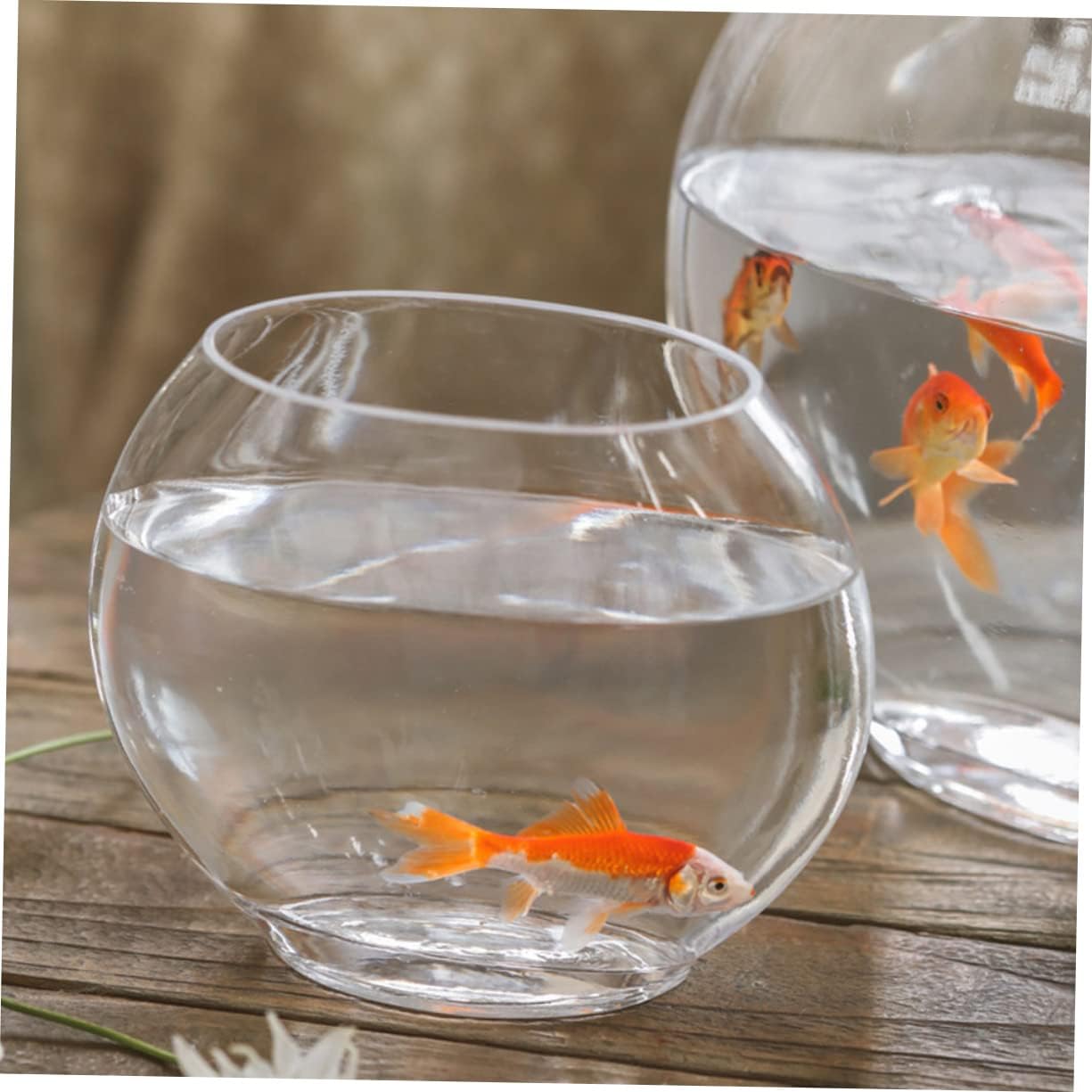 Luxshiny Transparent Oval Desktop Betta Tank Thickened Glass Aquarium Fish Bowl for Home Office Decor Mini Multifunctional Fish Supply with Smooth Surface Crack Resistant Tabletop Aquarium