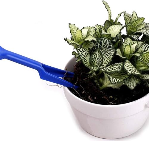 Miniatura 3 de DOITOOL 10 herramientas de trasplante de jardín Widger y 10 piezas de jardín Dibber para plantar y trasplantar para balcón (color al azar)