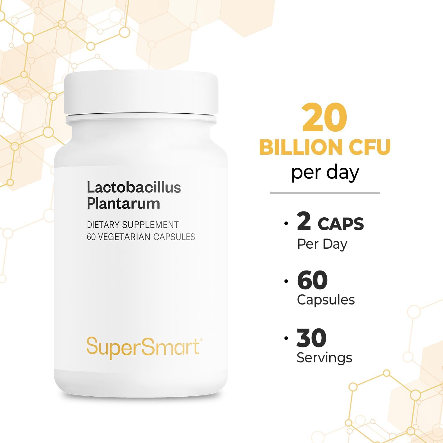 Supersmart - Lactobacillus Plantarum PostBiotic 20 Billion CFU per Day (Immuno-LP20) - Heat-Treated Probiotic Supplement | Non-GMO & Gluten Free - 60 Vegetarian Capsules